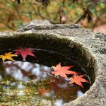 【古典】助動詞「む・むず」の「推量・意志・適当・勧誘・仮定・婉曲」