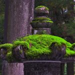 【古文・古語】古典 形容動詞の一覧(ナリ活用) 現代語訳