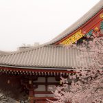 【古典】古文の希望(願望)の助動詞「たし」と「まほし」の解説