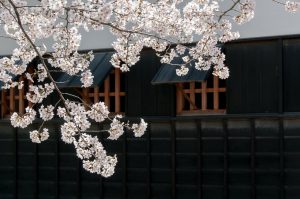【古典】古文の接続助詞「ど」「ども」　意味・現代語訳　用法　例文
