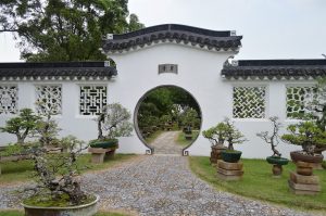 【古典】古文の接続助詞 て・して(単純接続) で(打消接続)