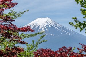 古典 古文 係り結びの法則と結びの省略 消滅